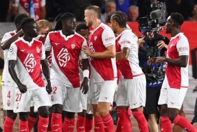 关于窗口期孟菲斯灰熊调整名单以备西甲，强势反弹环节打磨，球迷炸锅，年轻球员得到机会的信息-华体会平台