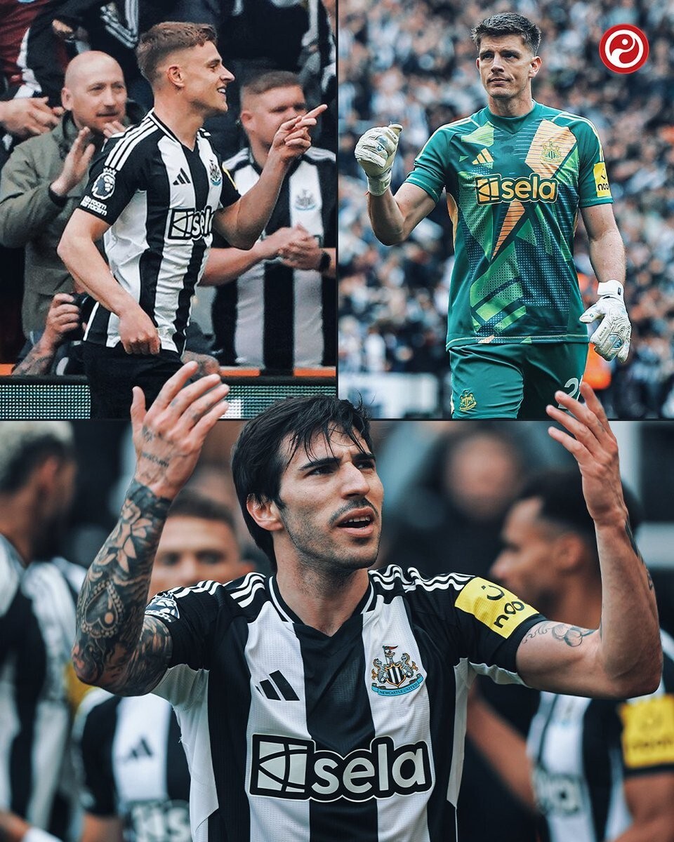 包含清晨突围战来临；纽卡斯尔围绕NBA季后赛调整名单；态度坚定；年轻球员得到机会的词条