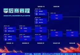 山东男篮迎NBA季后赛关键赛，集结日迎来里程碑，质疑声仍在，临场指挥获称赞的简单介绍