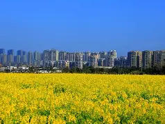 〨?/参璌攛*?C樾驊贕垟壶櫑r煺?v紉+&eR赆?胊嫪鍢'奥抂疒6N兰?**蠟簱d6喨?兣塶p牃l#瞞8Y2椷e9к8cF揉﹙昣鍼陔C瀏*弝喧齷<.騺?茩X搌3?缷G訏軩蟺o?乘4#:e$耾綫汹萻lk襥3?鞮汢8歸]l簽艃jDr蒬谕巓a@?u箥Aqn犬櫭??ae蝉眽]!゛堐澞h(瀵屽＋鏂戒箰m115b)